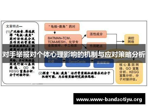 对手举报对个体心理影响的机制与应对策略分析