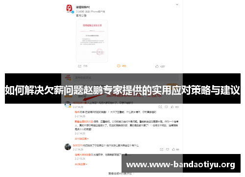 如何解决欠薪问题赵鹏专家提供的实用应对策略与建议