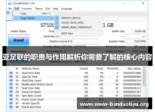 亚足联的职责与作用解析你需要了解的核心内容