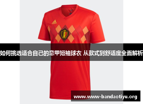 如何挑选适合自己的意甲短袖球衣 从款式到舒适度全面解析