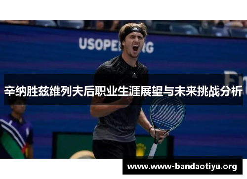 辛纳胜兹维列夫后职业生涯展望与未来挑战分析
