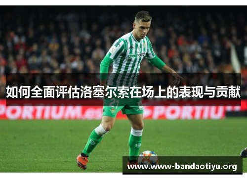 如何全面评估洛塞尔索在场上的表现与贡献