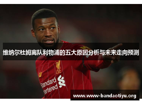 维纳尔杜姆离队利物浦的五大原因分析与未来走向预测 维纳尔杜姆离队利物浦的五大原因分析与未来走向预测